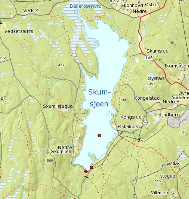 Figur 4. Oversikt over funn av fiolett gullvinge ved Skumsjøen i Gjøvik kommune, Oppland. Funnene er angitt som røde punkter. Punktet midt ute i Skumsjøen er åpenbart unøyaktig plassert.