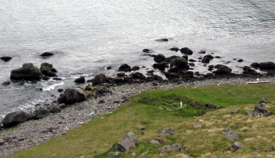 greiðfarin. Lega hússins er á gróinni sléttri grund, þar sem lítið undirlendi er á milli sjávarkamps og hárra bakka í Hrauninu (mynd 31). Mynd 31. Beitarhúsatóft á Trogaströnd á Kambi.