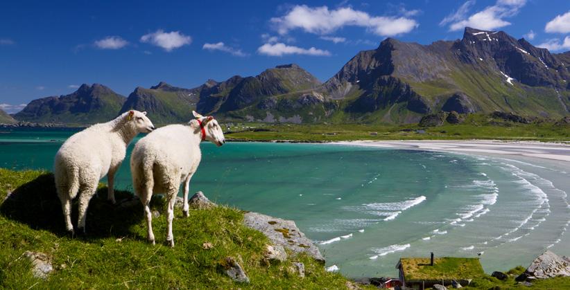 Thulefjord Julepostei pinnekjøtt og pølser «I det vakre og ville land skapet i Nord-Norge finner vi Norges