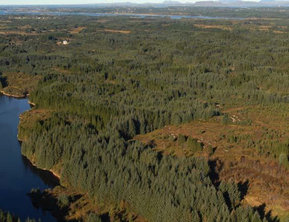 DELOMRÅDE 16: BIARÅSEN VERDI LANDSKAPETS VERDI n stor Mellom fylkesvegen, Færevatnet, Litleveiten og Bøvågen ligger et større skogs- og myrparti som er mye brukt til friluftsliv.