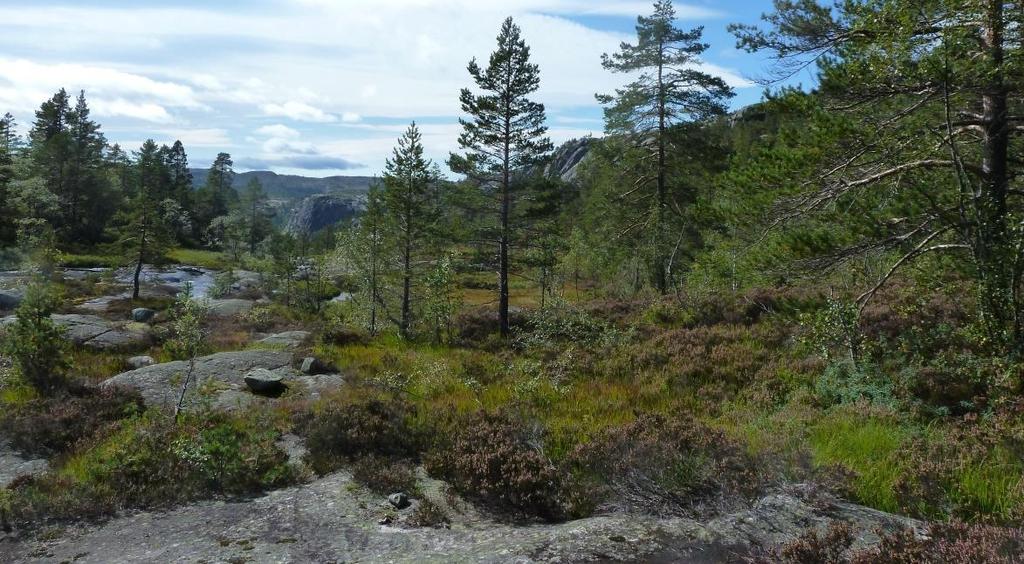 Det gjøres oppmerksom om at f lyf otoet ikke er oppdatert med tanke på den siste hytteutbyggingen i området.