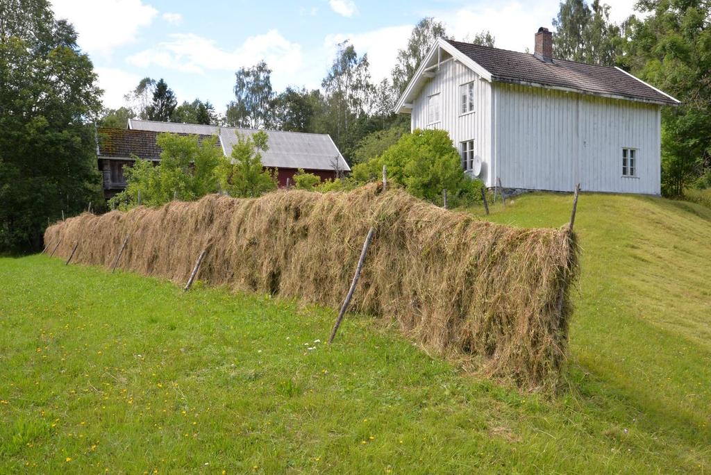 Foto: Sigve Reiso Hesjer på