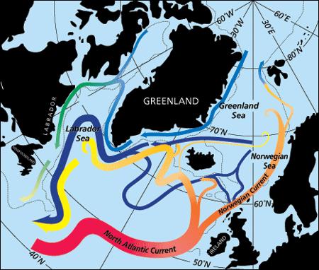 GOLFSTRØMMEN - Landskapet på havbunnen og jordrotasjonen som bestemmer retningen på de store havstrømmene.