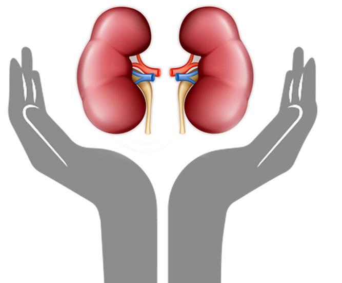 INTRODUKSJON EMPAGLIFLOZIN (JARDIANCE ) Bedrer glykemisk kontroll med lav risiko for hypoglykemi Kroppsvekt Blodtrykk KarsFvhet Vasilakouet al.