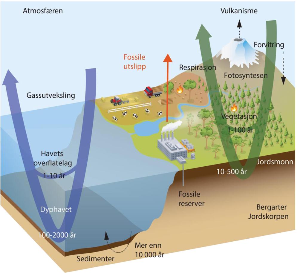 Karbonkretsløpet langsomme og raske deler Fossilt