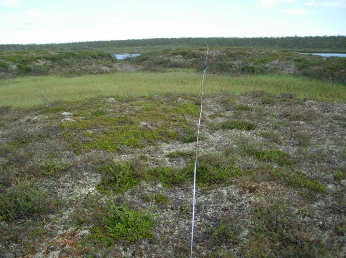 Det er til dels tydelige endringer i enkelte feltsjiktsarters frekvens mellom 2006 og 2016, selv om feltsjiktet totalt kun viser små endringer.