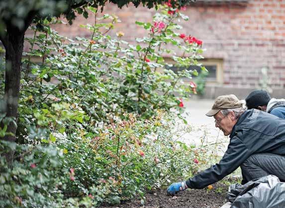 Vil du støtte Kirkens Bymisjon og har behov for våre tjenester til: Rydding av hus, leilighet, garasje, lager, byggeplass Bortkjøring av avfall Flyttejobb Rengjøring Hagearbeid og