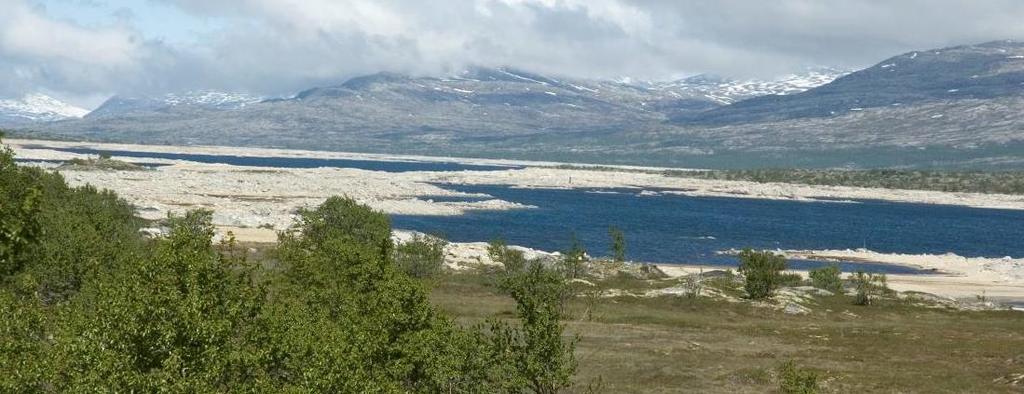 Aursjøen kunstig terskel for villrein Forslag om