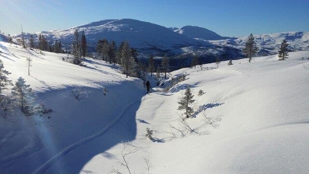 Sosialt og politisk stabilt Lav