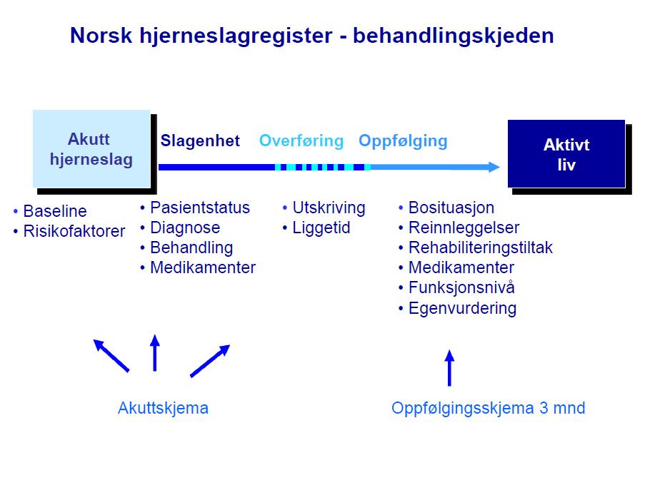 Hva registreres i Norsk