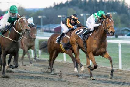 Jackpot frister Südtirol vant sist uke med Pretty Perfect og Calcaterre like bak. Ingen klarte seks rette da det første gang i år var V65 på programmet på Øvrevoll torsdag.