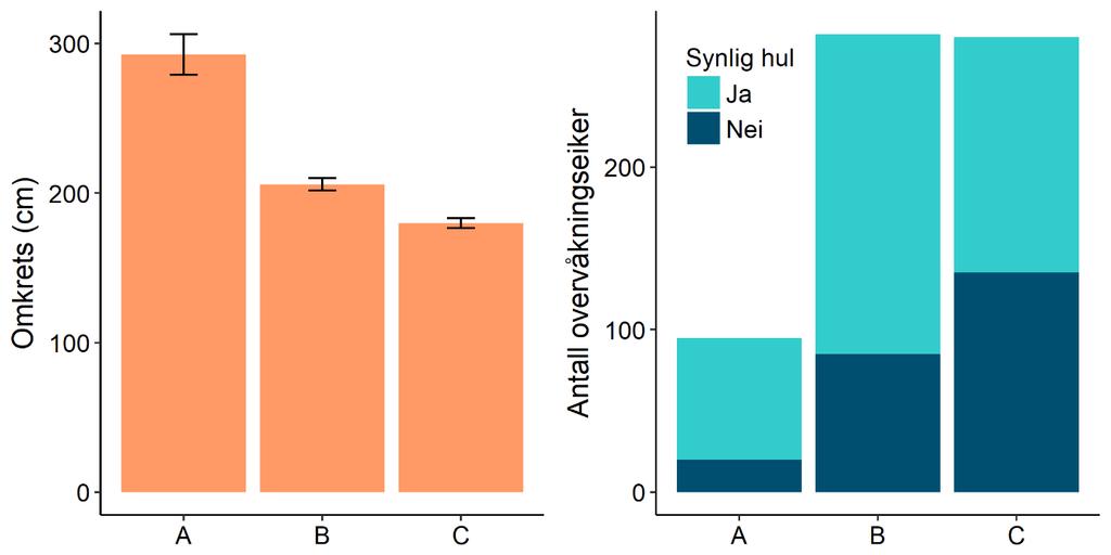 Figur 2. Overvåkingseikenes omkrets (gjennomsnitt cm ± standardfeil) og antall synlig hule trær i verdikategoriene A, B og C. Figur 3.