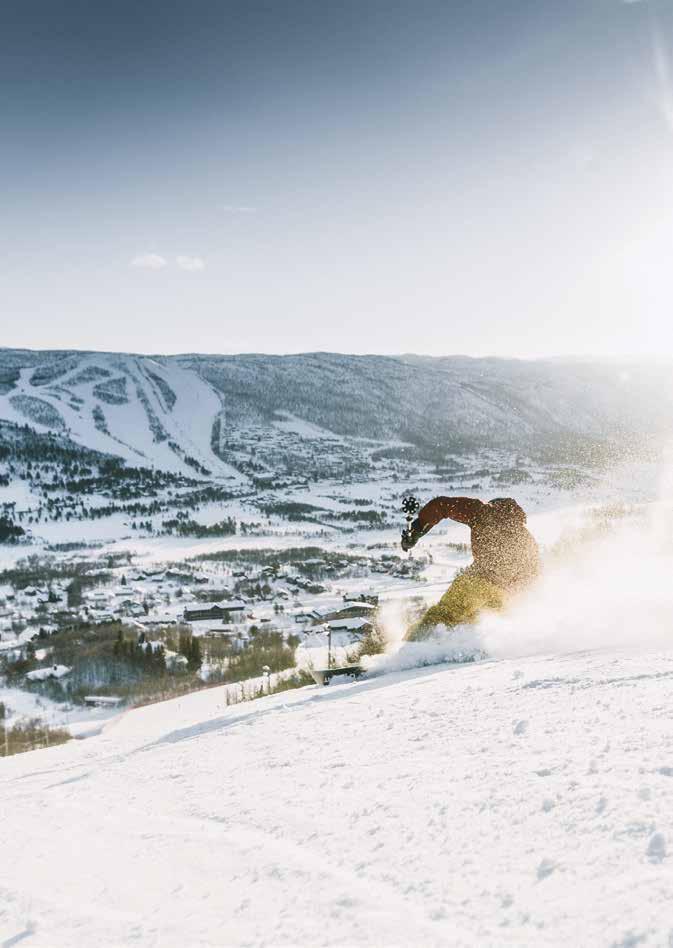 Sommer Vinter GEILO Dagali - Skurdalen - Haugastøl - Ustaoset - Hol - Hovet - Sudndalen -