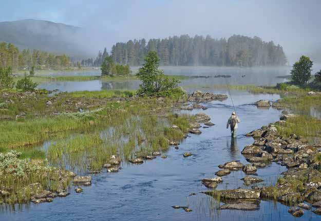 Fiske Skitt fiske! Fiske på Hardangervidda Fiske Sommer jan-mars, mai-sept Pris: Til vanlig ligger prisene for et døgnkort i ovennevnte områder fra ca. kr 50-70, barn under 16 år fisker gratis.