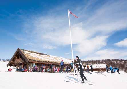 Prestholtseter Prestholtseter ligger helt oppunder Hallingskarvet på 1242 moh., rett ved Hallingskarvet Nasjonalpark. Det er et yndet turmål både sommer og vinter.