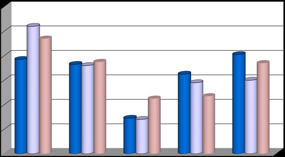 12 Statistikk Statistikken nedenfor viser omfanget av kirkelige handlinger for perioden 2011 til 2013.