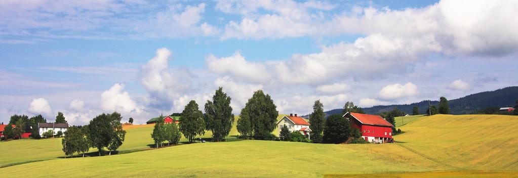 Utviklingen skal skje på en måte som sikrer fremtidig tilgang på ressursene og utvikling av et bærekraftig næringsliv.