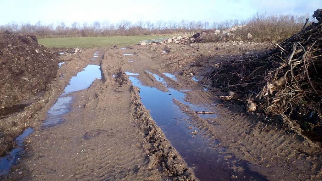 Bilde 1. Nydyrking av tidligere beite i Hå kommune. Foto: Lars Sandved Dalen, NIBIO 3.5.