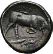 510 LUCANIA, Thourioi, 350-300 f.kr., distater (15,61 g).