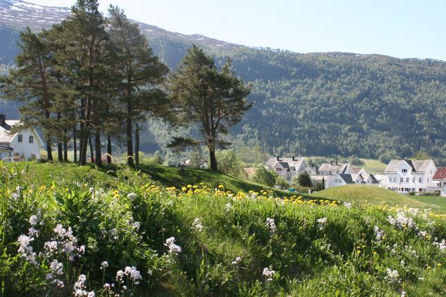 Sagaløypa - som går gjennom den verna Eidsgata og Tverrgata, forbi gravhaugane og Myklebustgarden som var arena for vikinghistoria som Sagastad fortel.