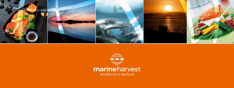 i Møre og Romsdal fylke Marine Harvest Norway AS