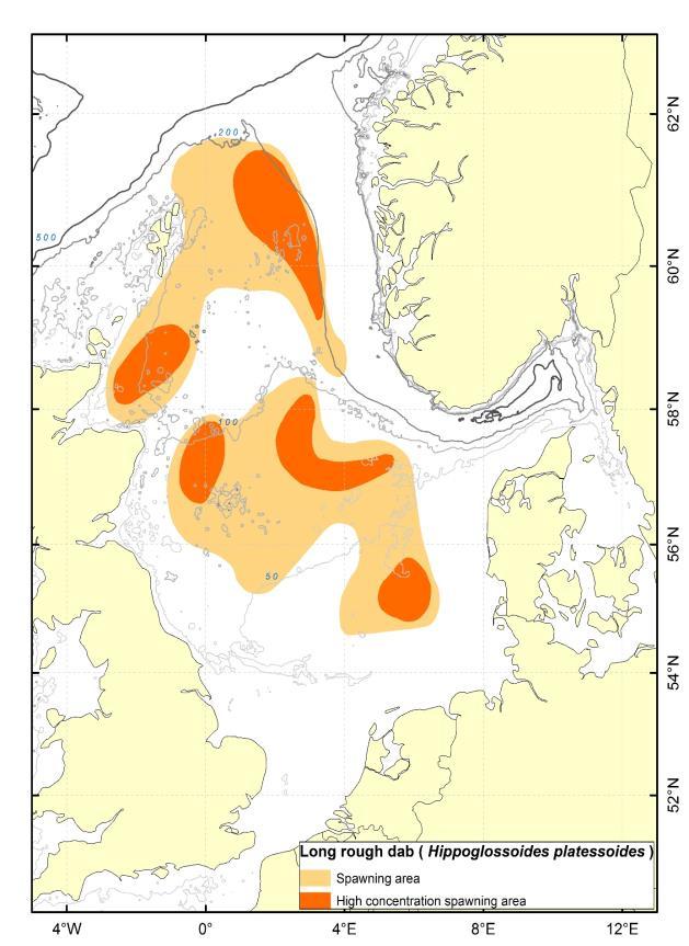 Nordlige flatfiskarter