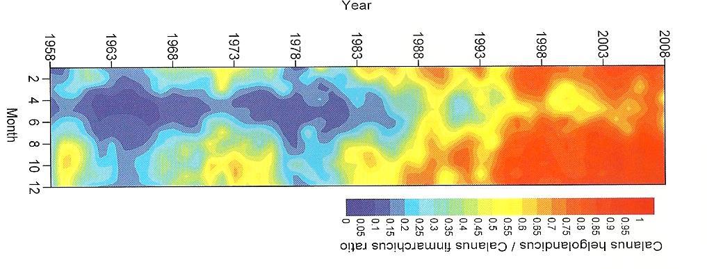 10 mm Change in the relation between arcto-boreal