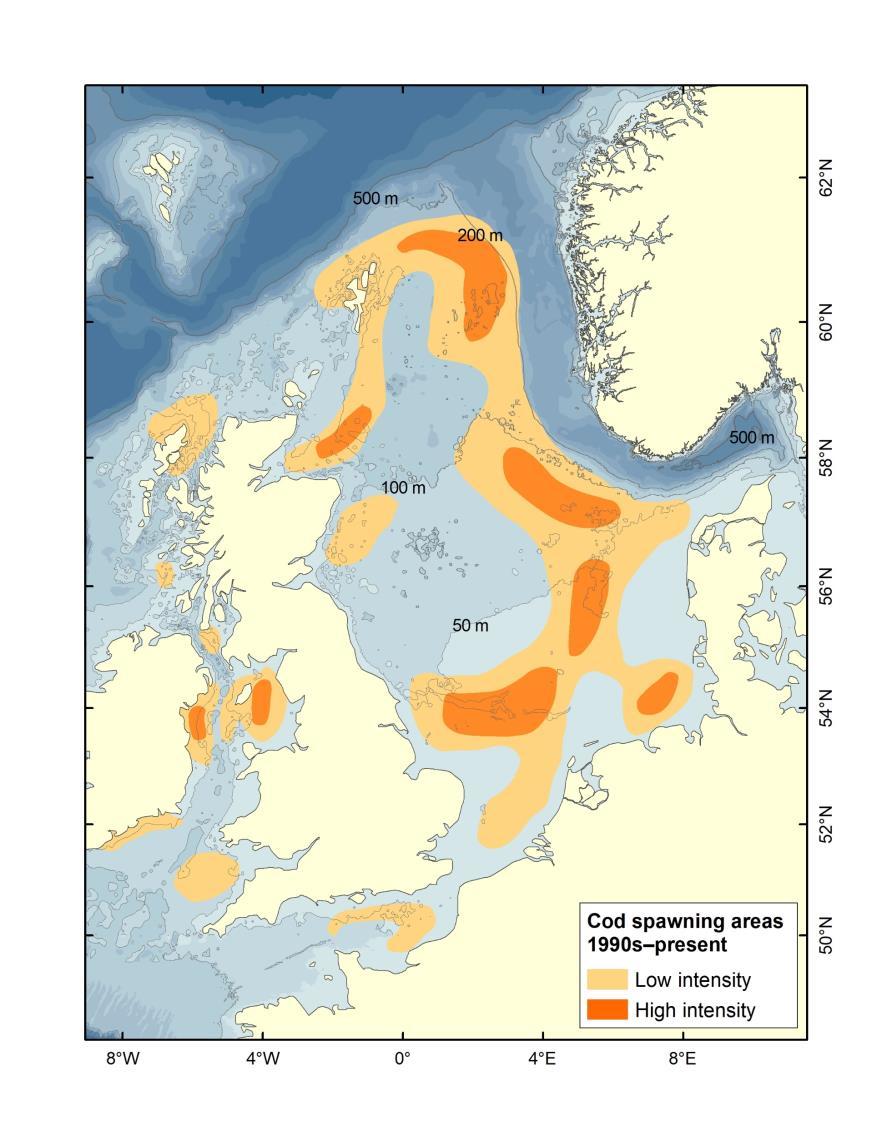 The cod spawning areas have also been displaced towards