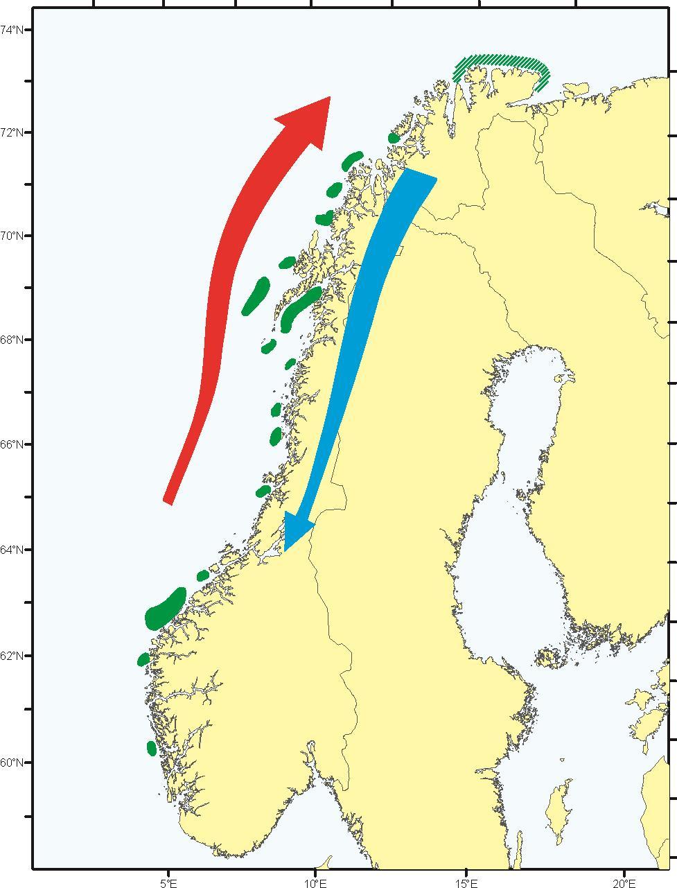 Temperature Klimarespons for skreien I varme perioder: -forflytter seg nordover og bestanden øker I kalde perioder