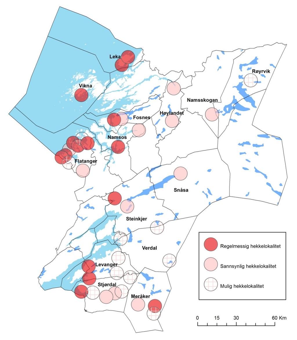 Figur 2. Det ble til sammen registrert hubro (Bubo bubo) på 39 lokaliteter i Nord-Trøndelag. Lokalitetene er inndelt i tre kategorier basert på sannsynligheten for hekking.