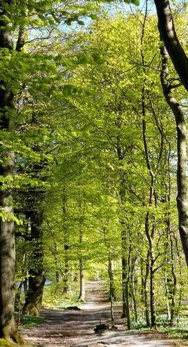 Sosialpsykologi - ideologier Kapitalismen økonomisk vekst vanskelig forenelig med tiltak mot klimakrisen.