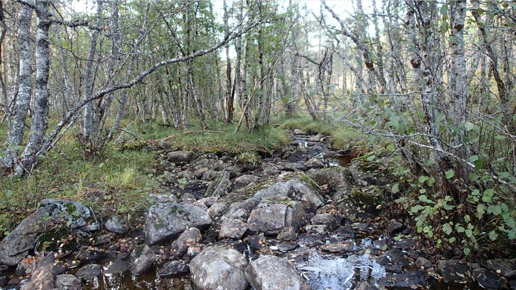 Flomløp Sagfossen. To fossefall der høyeste fall er på omtrent 1,7 meter Diskusjon Selv om vannføringen var noe høy i elva Valan, var forholdene gode for søk etter elvemusling.