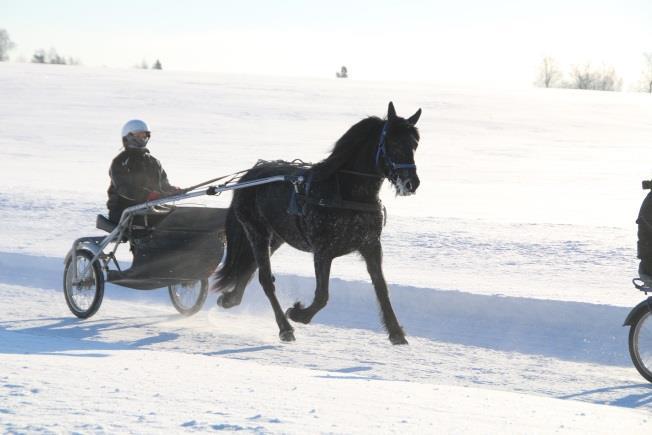 Når man i tillegg har muligheten til å kjøpe en andel i Lesja Tara, er det hyperaktuelt!