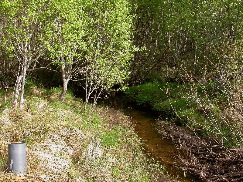 Figur 2. Utsnitt av elveparti langs strekningen der elvemusling forekommer i Strømselva.