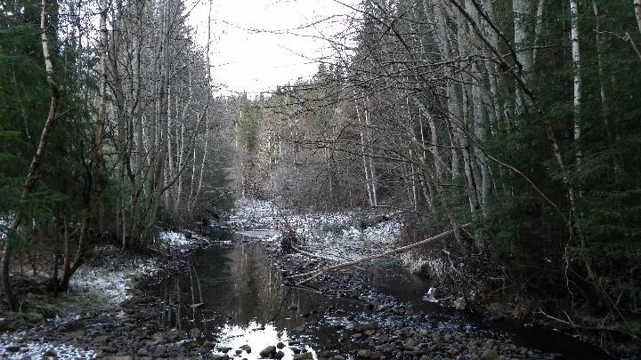 Figur 3: Før -g etterbilde av et habitat g flmtiltak i Vanebuelva (flere tiltak ble utført i elva). 7 Utfrdringer g flaskehalser Daglig drift: innenfr en 40% stilling må arbeidet begrenses.