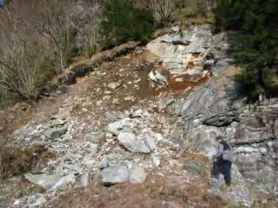 Side 2 av 4 Åsheimsdalen v/natursti Beskrivelse: Naturlig skråning >27 o med tynt løsmassedekke av forvitringsjord og skredmateriale over berggrunn av gneis.