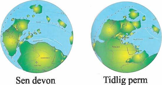 1.3 Tektonisk utvikling 1.3.1 Paleozoikum Den Kaledonske orogenese nådde sitt klimaks i tidlig devon og resulterte i lukningen av Iapetushavet og sammenslutningen av den Baltiske og den Laurentiske