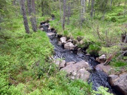 med gjennomsnittlig 20 tonn pr år. Nøklevatnets (191 ha) nedbørfelt er på svensk side årlig blitt kalket med 30-40 tonn.