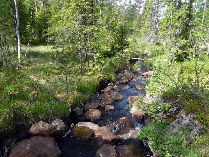 Meget gode bestander av elvemusling er i løpet av de siste 5 årene funnet i både Kjerkesjøåa og særlig i Nøkkelvassåa.