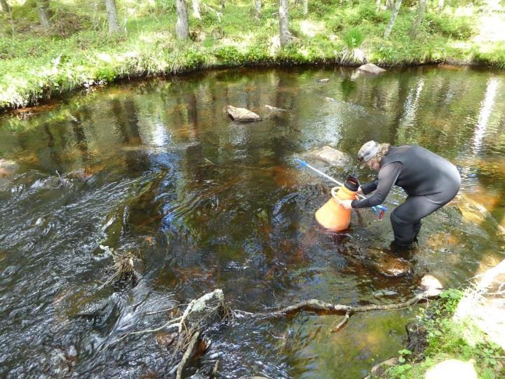 Arne Linløkken) om god vannkvalitet i Søndre Hærsjøen, er bakgrunnen for å gjennomføre en mer detaljert undersøkelse av elver og bekker (jf. figur 8) innenfor området vist på kartet i figur 9.