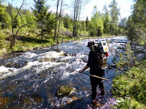 For å undersøke forekomst av potensiell vertsfisk for muslinglarver, ble et selektivt (1 omgang) elektrisk fiske foretatt (elektrisk fiskeapparat modell Paulsen FA3) foretatt i totalt 5 lokaliteter