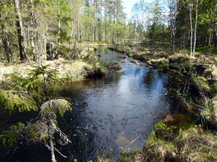 I løpet av de senere årene er bestander av elvemusling funnet og undersøkt i Gjerda like syd for området og i Høgsjøbekken like nord for området.