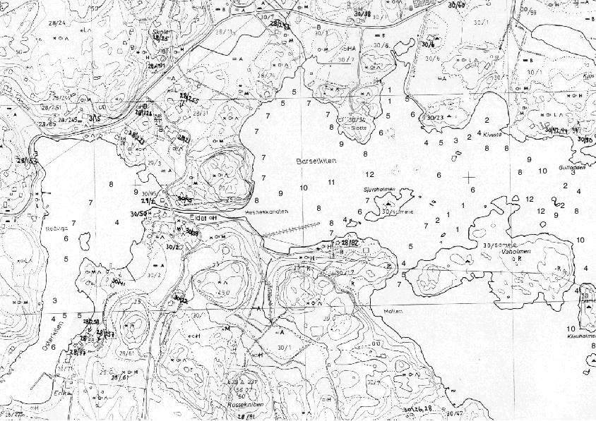 Grisetang med trådformet brunalger Grisetang Trådformet brunalger Rur Sagtang Sivbelte Grisetang Blæretang Tarmgrønske Rur Japansk drivtang NIVA 4302-2000 Tarmgrønske Grisetang Blæretang Barselkilen