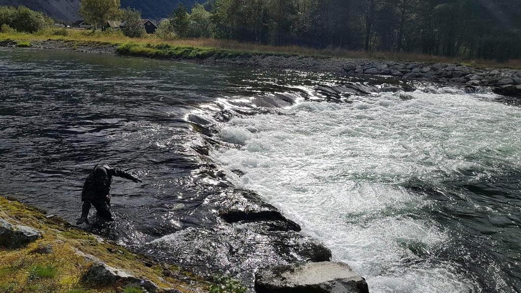 finsedimentakkumulering Naturtypisk brekk med nedgravde