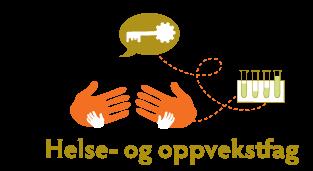 Strategi- og handlingsplan Faglig råd for helse- og oppvekstfag 2017 2021 Ambulansefaget Apotekteknikerfaget Barne- og ungdomsarbeiderfaget Fotterapifaget