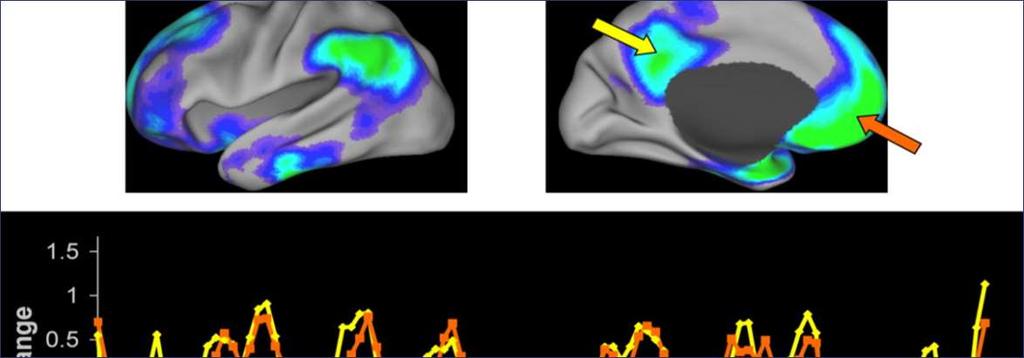 «Lag en mental liste over