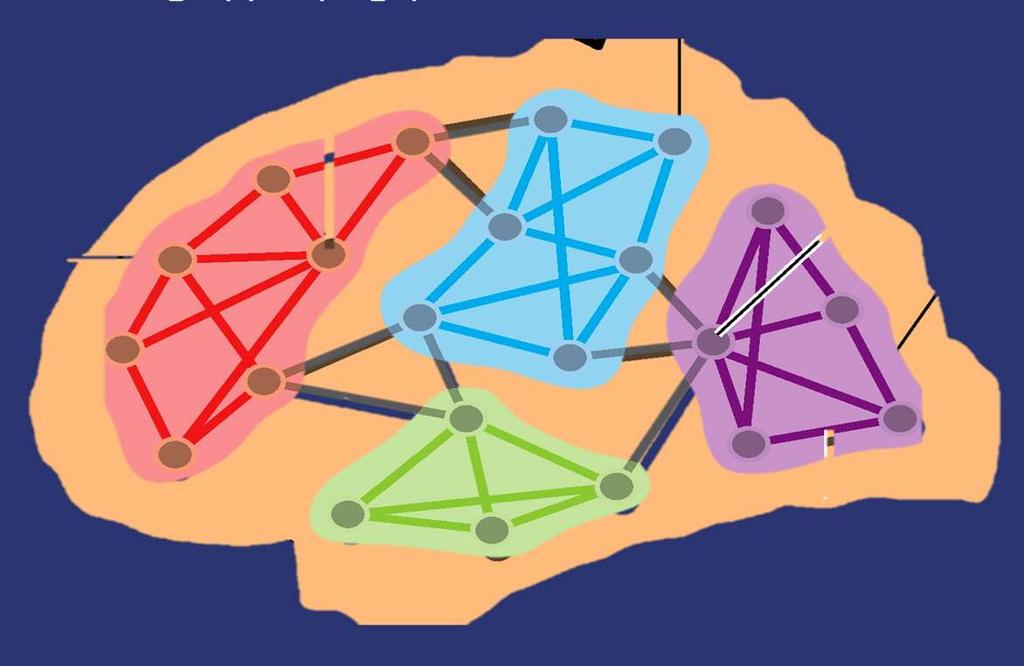 Nettverk i hjernebarken Forbindelser mellom grupper (Edge) Grupper av nerveceller (Node) aktive, dynamiske prosesser som oppfatte, være oppmerksom på, huske, og beslutte er ikke begrenset til