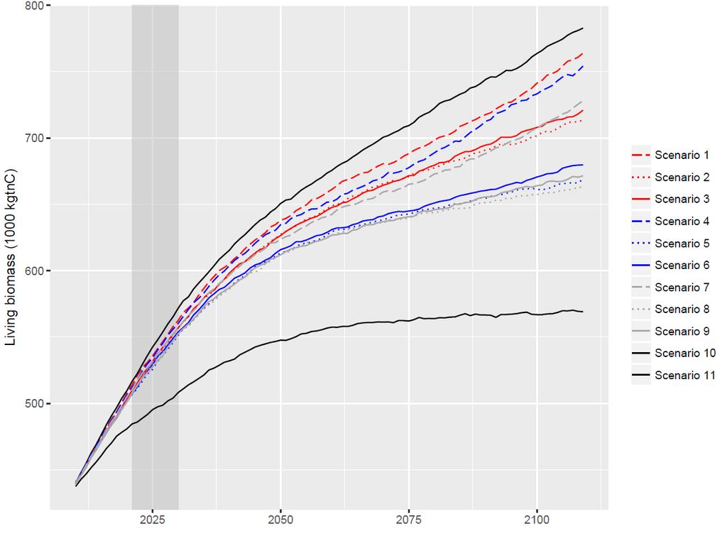 Figur 5. Utvikling i stående levende biomasse i scenario 1-11.