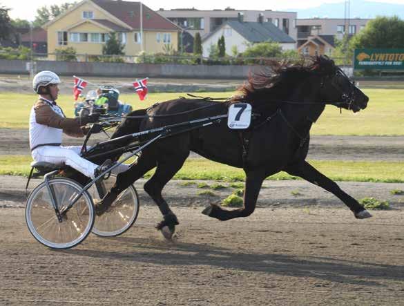 9 10 2016: 5-2 -0-0 -2-32.3v -36.000 2015: 0-0 -0-0 -0-0 Rofstad Odin 2 32,3m 36.000 3 år Rød H v. Moe Odin e. Rofstadlisa v.