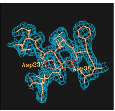 al. 2018). Optimal aktivitet til enzymet er antatt å være mellom ph 4,0-5,5 (Preetha & Boopathy 1997; Sun et al. 2018). Proteaser i samme subfamilie har vanligvis optimal aktivitet i ph området 3,0 5,5 og er stabile innenfor surt til nøytralt ph område (Bekhit et al.